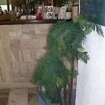 Hotel Despina