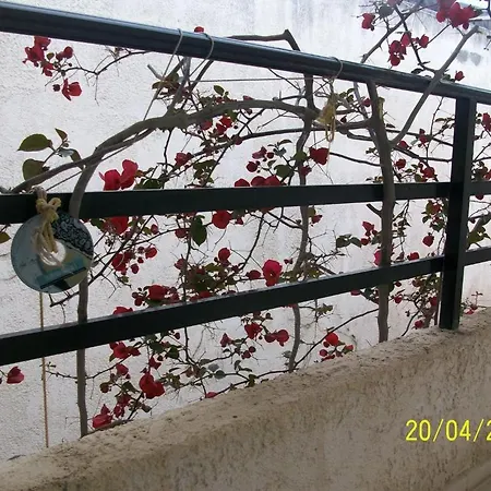 Otel Despina